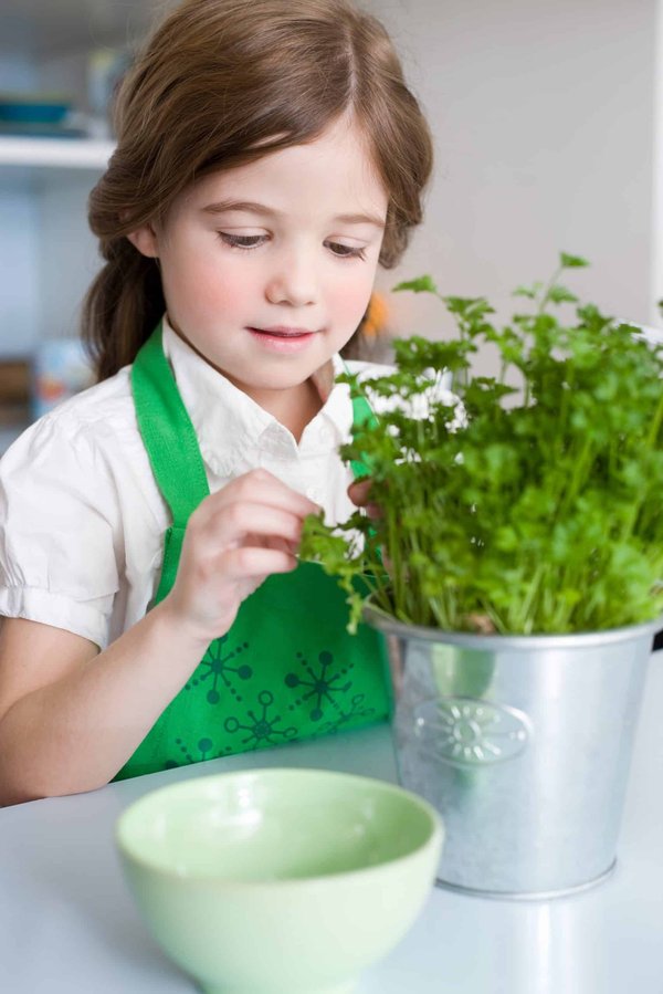 Quels types de pulls col bateau adopter pour un style élégant mais décontracté?