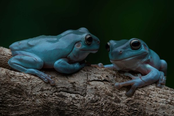Quelle est la meilleure façon d'associer des accessoires colorés avec une tenue monochrome?