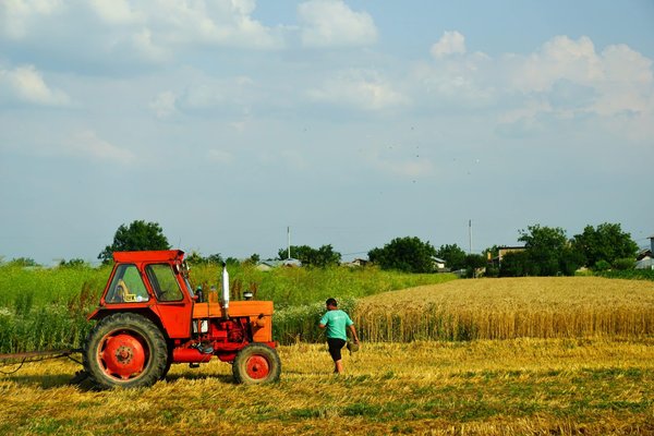 Quels mouvements de barre au sol sont recommandés pour tonifier les jambes sans impact?